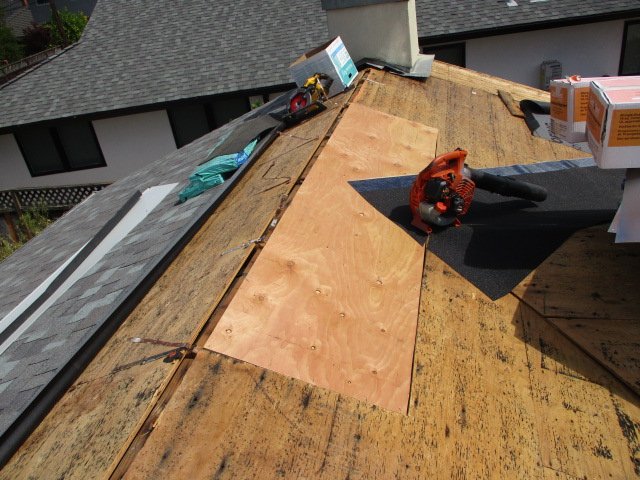 Roof Dry Rot Damage Being Repaired By Clean Roofing Contractor